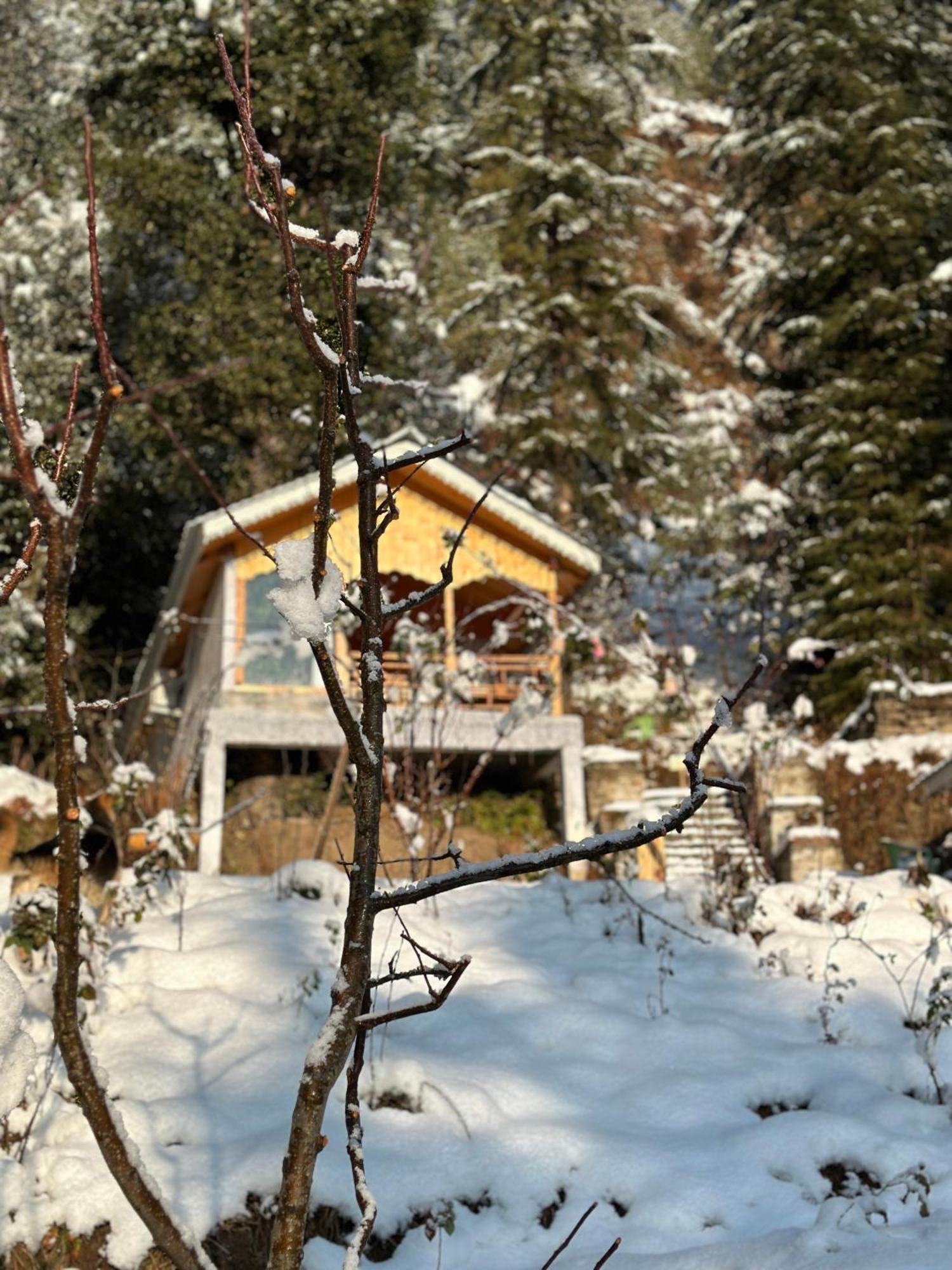 Tree House Latos Tandi Hotell Jibhi Eksteriør bilde
