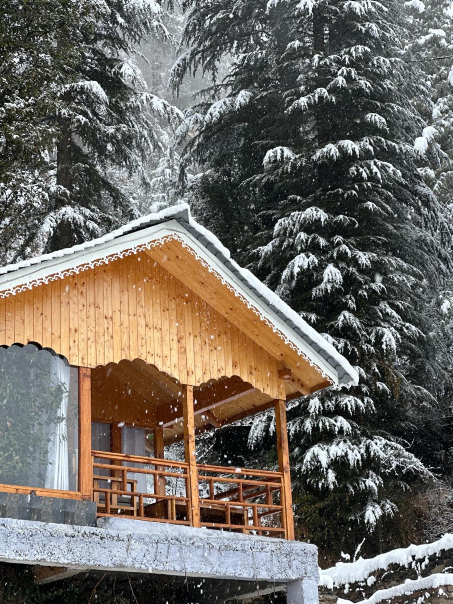 Tree House Latos Tandi Hotell Jibhi Eksteriør bilde
